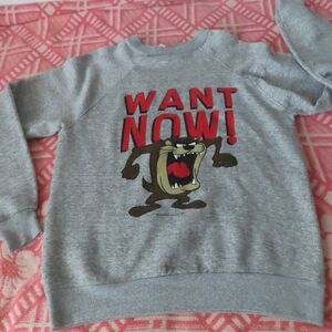 rare Artex USA Vintage 1980s Sweatshirt Adult L Gray  TAZ WANT NOW!